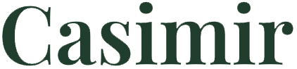 logo casi